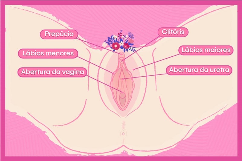 color-de-la-vagina